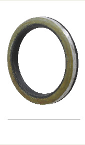 C5NN3C615A Shaft Seal